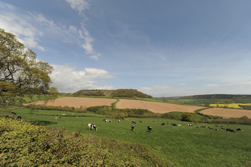 placeholder image sq